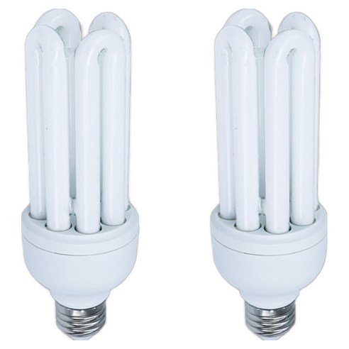 블루밍 삼파장 램프 30W EL30EX-D, 주광색, 2개