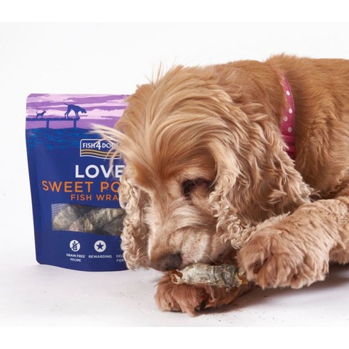 우리 강아지, 건강과 즐거움을 한번에 담은 최고의 간식