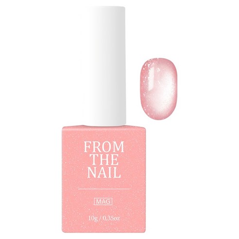 프롬더네일 MAGNET GEL 네일, FG287, 10g, 1개