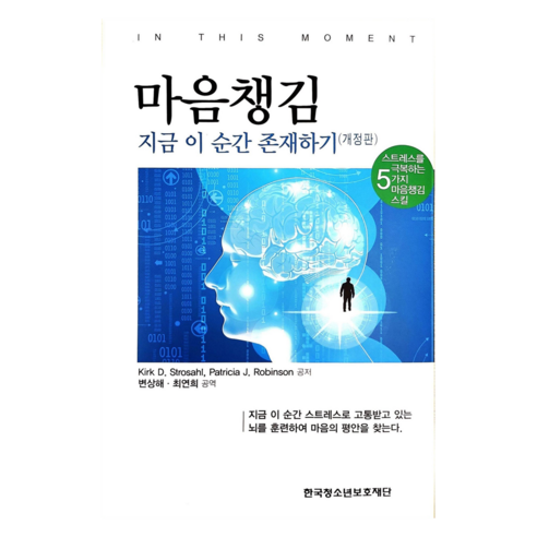 마음챙김:지금 이 순간 존재하기, 마음챙김, Kirk D. Strosah, Patricia J..., 한국청소년보호재단, Kirk D,  Strosahl, Patrcia J,  Robinson