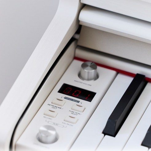 손끝에서 펼쳐지는 꿈, 이제 일상이 되다