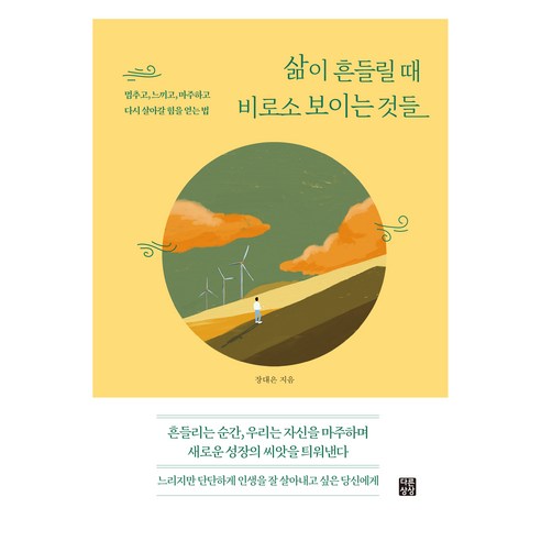 삶이 흔들릴 때 비로소 보이는 것들:멈추고 느끼고 마주하고 다시 살아갈 힘을 얻는 법, 삶이 흔들릴 때 비로소 보이는 것들, 장대은(저), 다른상상, 장대은