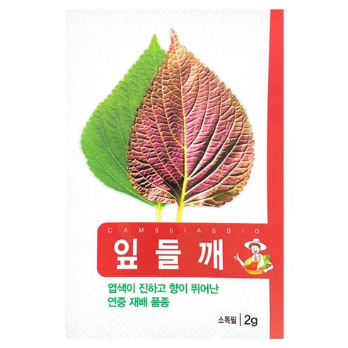 진안도시농부 만추 잎들깨 씨앗, 1개
