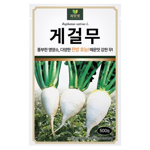 다농 씨앗애 게걸무 씨앗 500p, 1개