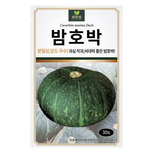 다농 씨앗애 밤호박 씨앗 30p, 1개