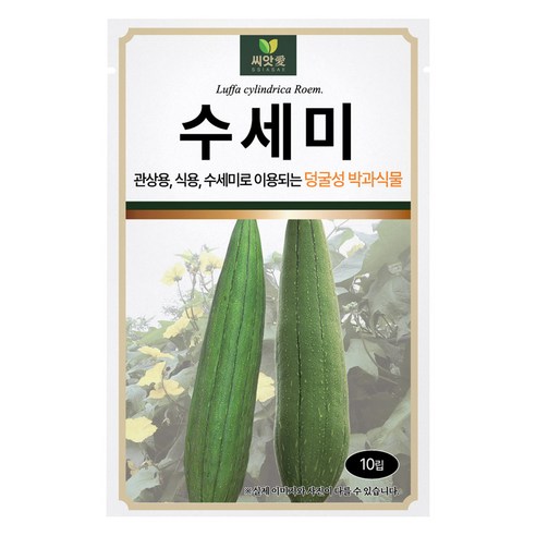 다농 씨앗애 수세미 씨앗 10립, 1개