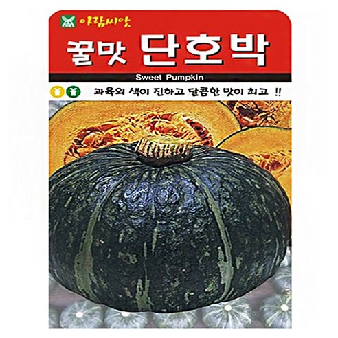 아람종묘 꿀맛단호박 씨앗10립, 1개
