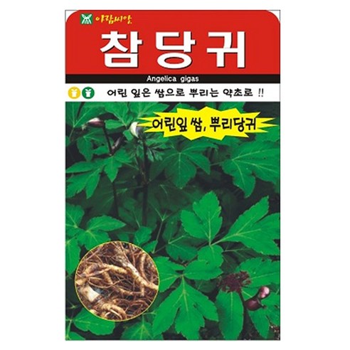 아람종묘 참당귀200립 씨앗, 1개