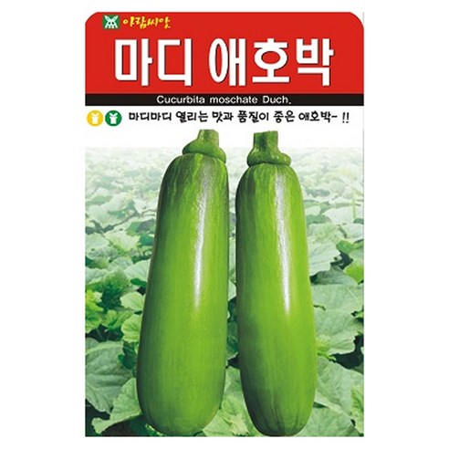 아람종묘 마디애호박 씨앗 20립, 1개