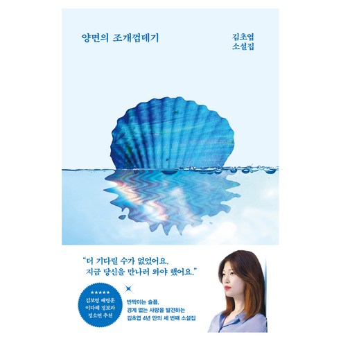 양면의 조개껍데기:김초엽 소설집, 김초엽, 래빗홀