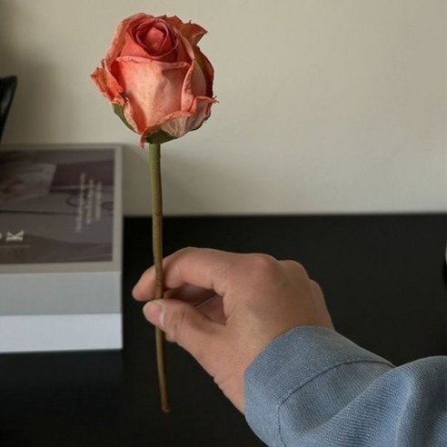 미소로운 조화 꽃다발, 앙고라장미 오렌지, 3개