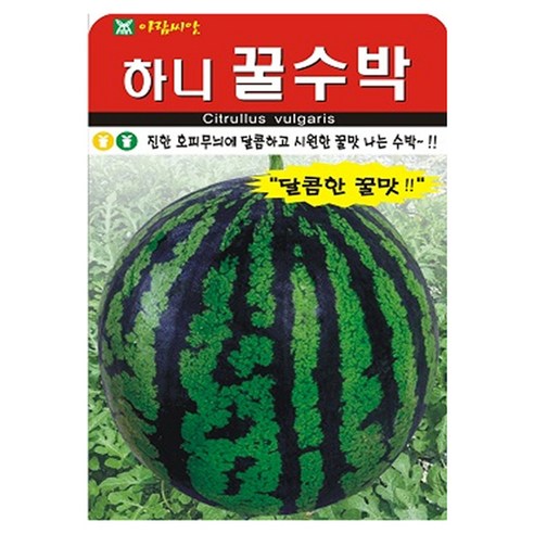 아람종묘 하니 꿀수박 씨앗 20p, 1개