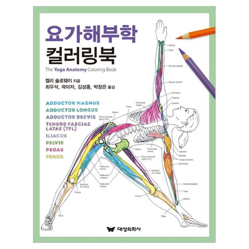 요가해부학 컬러링북, 대성의학사, 켈리 솔로웨이