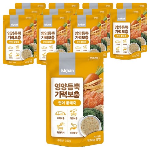 이즈칸 강아지 영양듬뿍 기력보충 죽, 02_연어황태죽, 100g, 12개