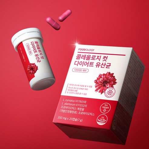 푸드올로지 정품 콜레올로지컷 다이어트 유산균 20정, 1개 맛있게 먹은 솔직 후기 - 상품 이미지 3