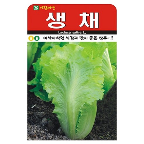 아람종묘 생채상추 씨앗 2000p, 1개