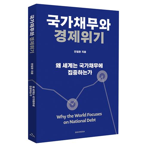 국가채무와 경제위기:왜 세계는 국가채무에 집중하는가, 시공사, 안일환