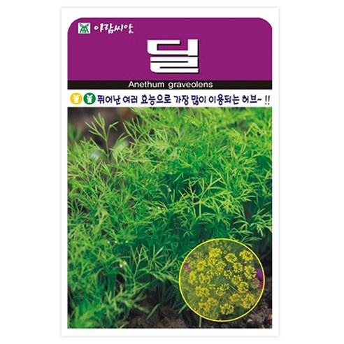 아람종묘 허브 딜 씨앗 300p, 1개