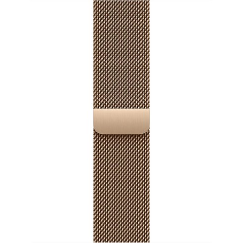 Apple 정품 2025 애플워치 밀레니즈 루프, 골드, 1개, 40mm, One Size