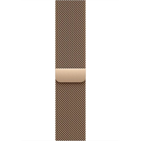 Apple 정품 2025 애플워치 밀레니즈 루프, 골드, 1개, 46mm, S/M