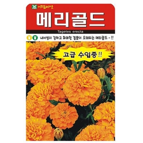 아람종묘 메리골드 꽃 씨앗, 1개