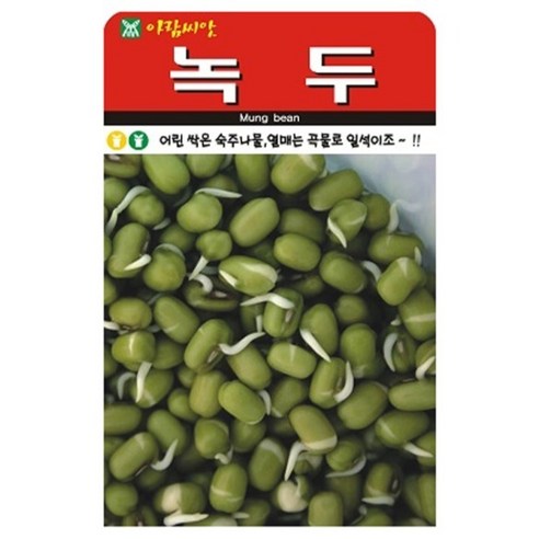 아람종묘 녹두 씨앗, 1개