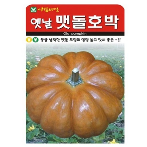 아람종묘 옛날맷돌호박 씨앗, 1개