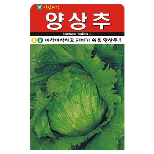 아람종묘 양상추 씨앗 1000p, 1개