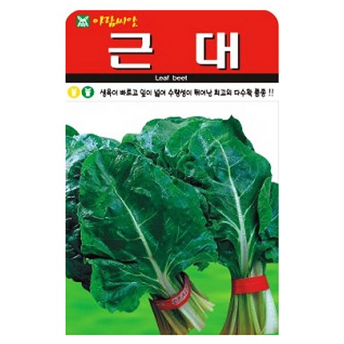 아람종묘 청근대 씨앗 500p, 1개