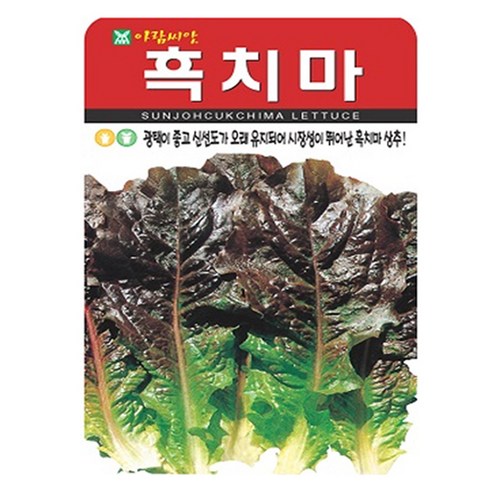 아람종묘 흑치마 상추 씨앗 2000립, 1개 1개