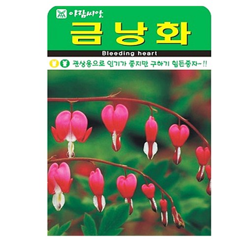 아람종묘 금낭화 꽃 씨앗, 1개