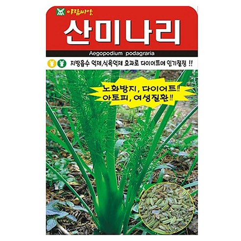 아람종묘 산미나리 씨앗, 1개 1개