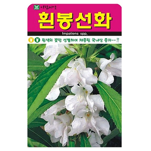 아람종묘 흰봉선화 꽃 씨앗, 1개