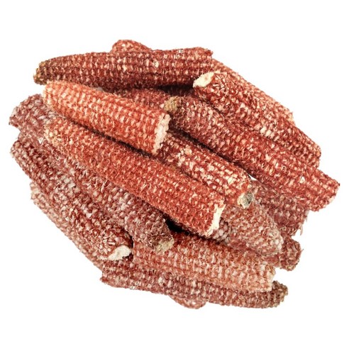 신선약초 국산 붉은 옥수수속대 500g, 1개 맛있게 먹은 솔직 후기 썸네일
