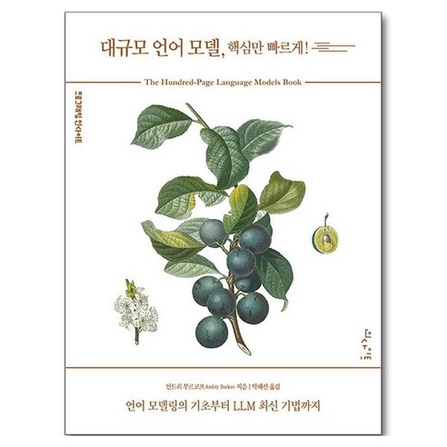 대규모 언어 모델 핵심만 빠르게!, 인사이트, 안드리 부르코프