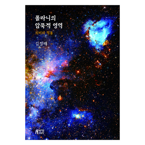 폴라니의 암묵적 영역 : 의미와 적용, 박영스토리, 김정래