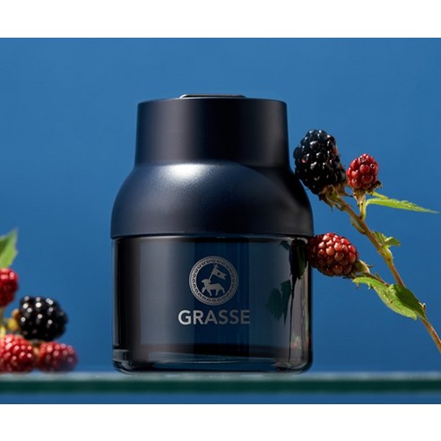 불스원 그라스 블루 디퓨저 100ml 본품 실사용 후기 | 효과 있을까? - 상품 이미지 3