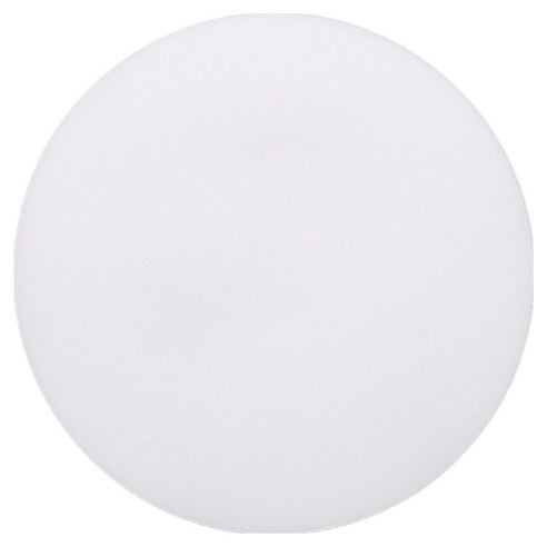 메가맨 LED 원형 슬림 직부등 18W 220mm, 화이트 + 주광색