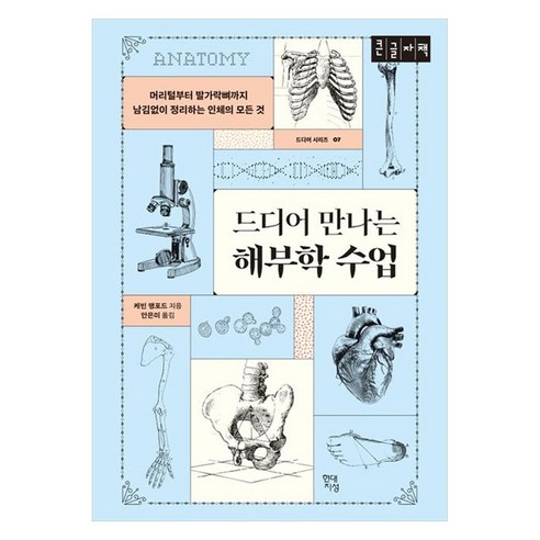 드디어 만나는 해부학 수업(큰글자책):머리털부터 발가락뼈까지 남김없이 정리하는 인체의 모든 것, 케빈 랭포드 저/안은미 역, 현대지성