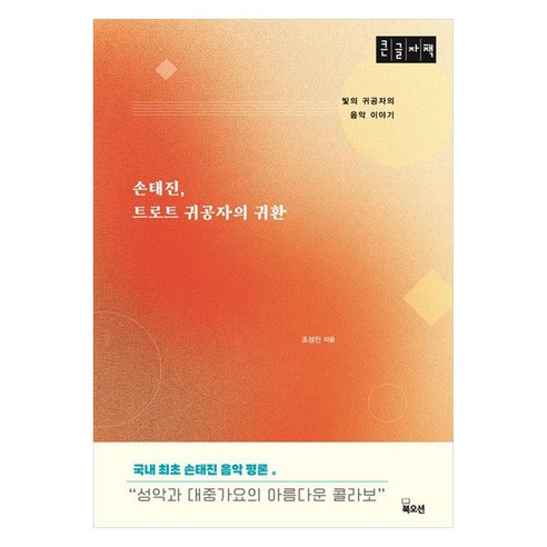 손태진 트로트 귀공자의 귀환 큰글자 빛의 귀공자의 음악 이야기, 북오션, 조성진