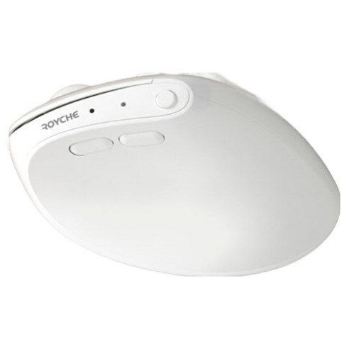로이체 휴대용 인체공학 저소음 블루투스 미니 버티컬 무선 마우스 RX-650V, 화이트, RX-650V WH