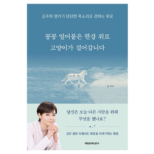 꽁꽁 얼어붙은 한강 위로 고양이가 걸어갑니다:김주하 앵커가 단단한 목소리로 전하는 위로, 김주하 저, 매일경제신문사