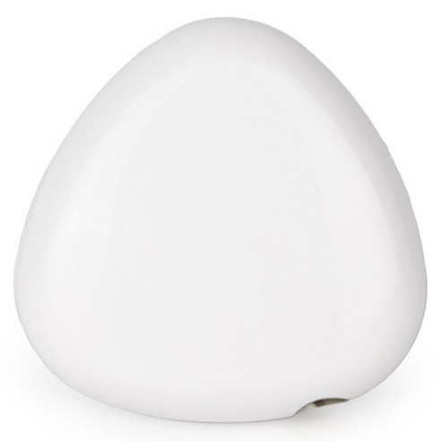 PLEIGO UV C LED 휴대용 충전식 조약돌 칫솔 살균기, 화이트, TS110