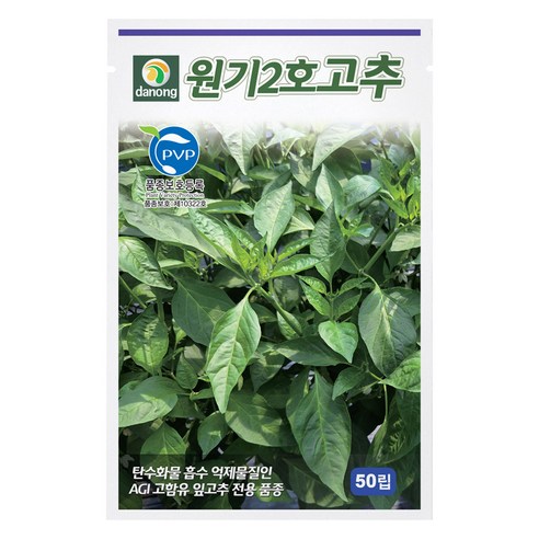 다농 원기2호 고추 씨앗 50p, 1개