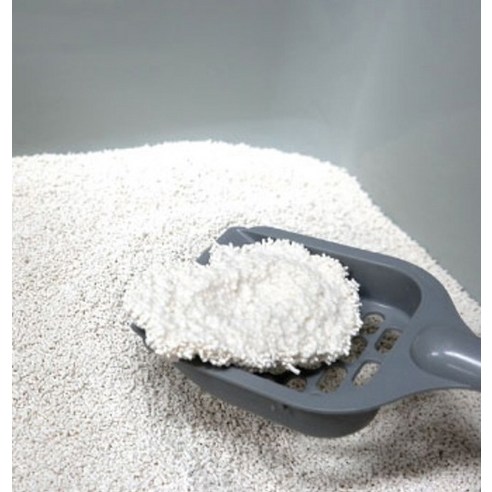 고운 입자의 카사바 모래