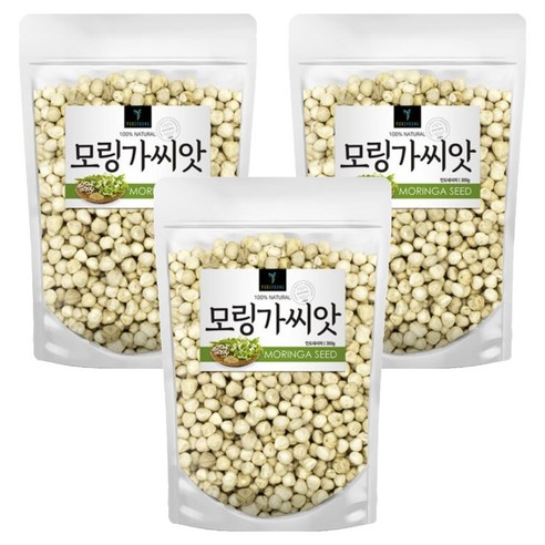 퓨어영 모링가 씨앗 300g, 3개 맛있게 먹은 솔직 후기 썸네일