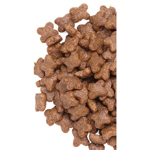 캐츠랑 키튼 고양이 건식 사료 솔직 후기 | 실제 사용자 리뷰 총정리 - 상품 이미지 2