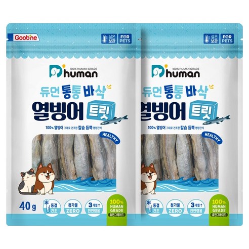 듀먼 반려동물 통통바삭 트릿, 2개, 40g, 열빙어