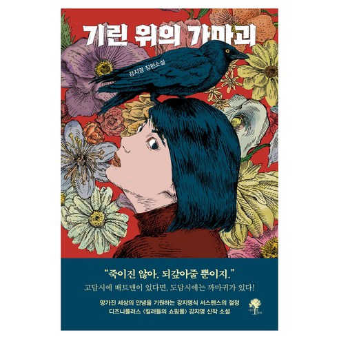 기린 위의 가마괴, 나무옆의자, 강지영