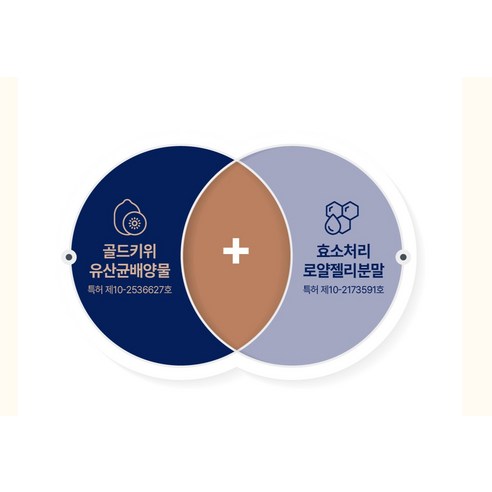 대상웰라이프 알부민 맥스 파워 후기 분석 - 전체 구성품 이미지